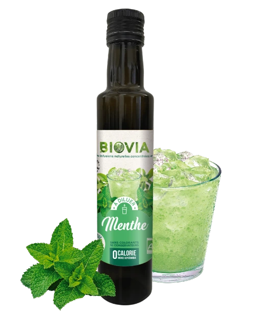 gd_1179_1.png Xarope de Menta e Stévia Bio 50 cl - Biovia - Image 1