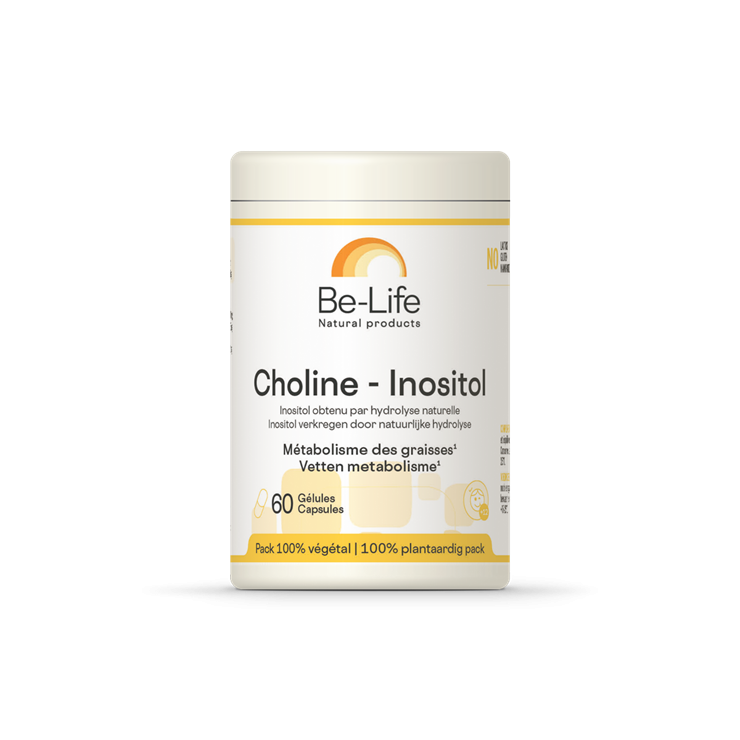 gd_NOVO_Colina_inositol_60_gel._00.png Colina-inositol 60 cápsulas - Bi-Life - Imagen 1