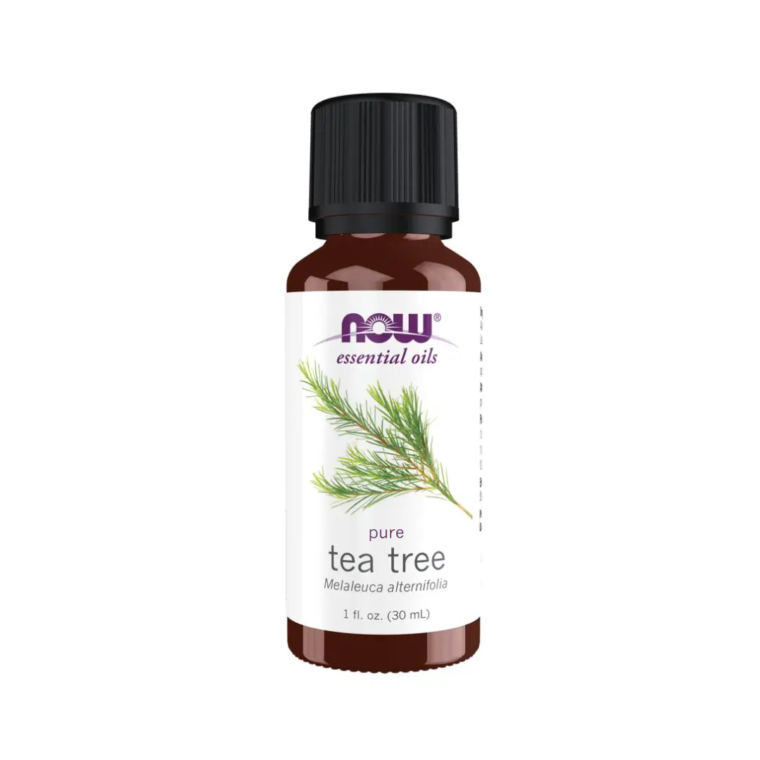 Oleo-Essencial-Arvore-do-Cha-30ml-Now.jpg.webp Óleo Essencial de Árvore-do-Chá - 30 ml - NOW - Image 1
